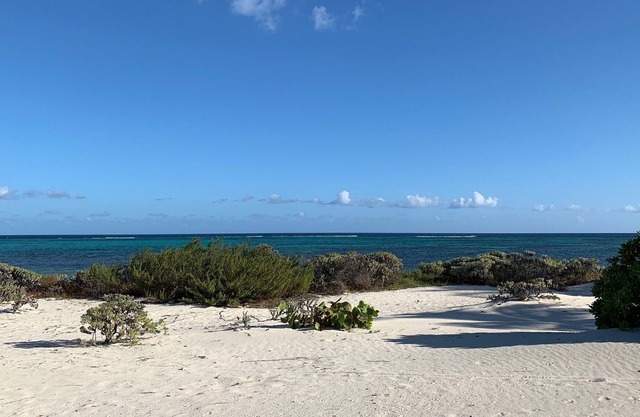 In Seaclusion, Little Cayman