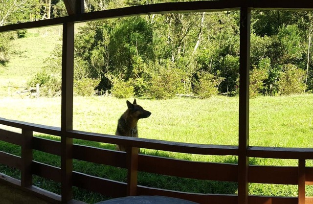 IN THE HEART OF MONTEVERDE. 300 ACRE PROPERTY