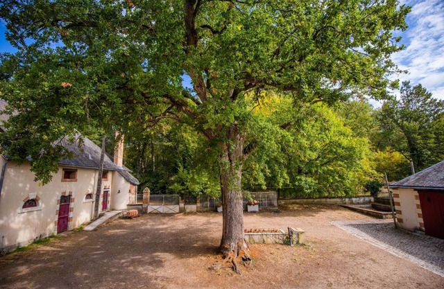 In the heart of the Chateaux de la Loire Gîte de Plain-Pied adapted for PMR. Pets allowed
