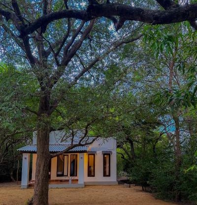 In the Wild by RoamCeylon