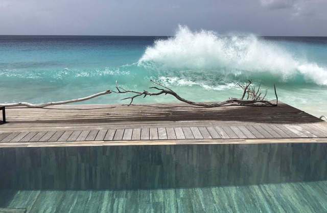 INCLUSIVE PICKUP TRUCK! Oceanfront Villa - Total privacy - ocean access - W-LAN