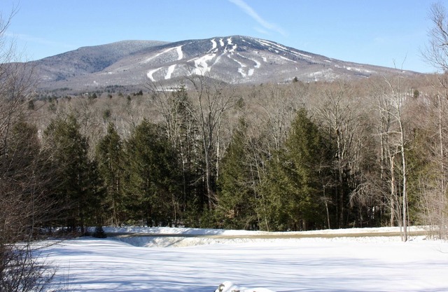 Incredible Luxury 5BR Home with views of Stratton Mountain. No seasonal rental.