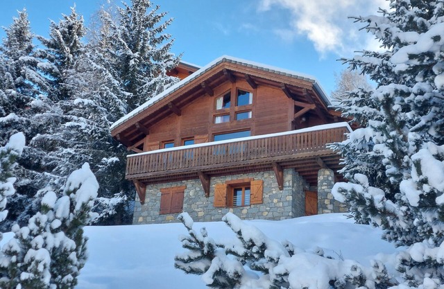 Individual chalet * La Plagne Montalbert (Paradiski)