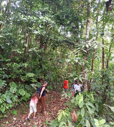 Ingaru lodge