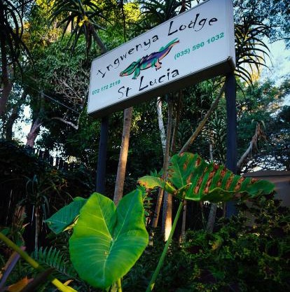 Ingwenya Lodge