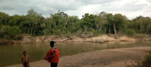 Instituto Ambiental Bugio Ruivo