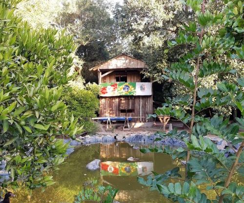 Instituto Bugio Ruivo