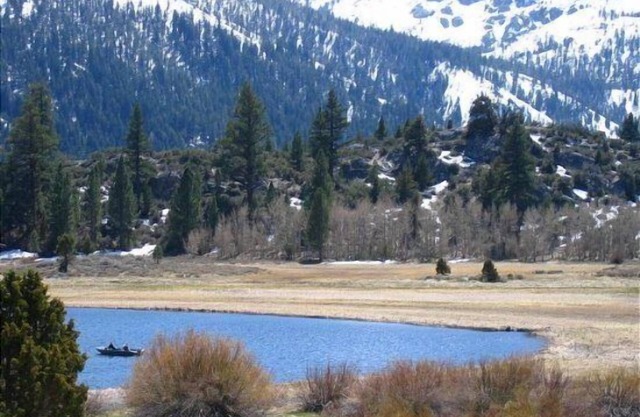 Interlaken #26 Studio Condo