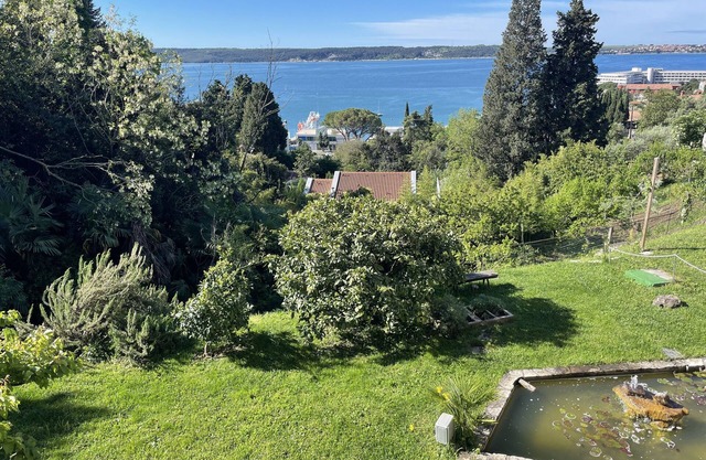 IRIS apartment in the middle of green vegetation