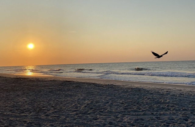 Island Club BEACH GEM Just steps from ocean, amenities galore!