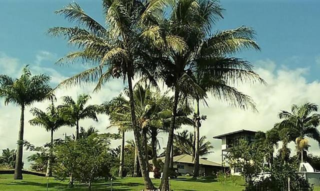 Island Goode's - Luxury Adult Only Accommodation near Hilo