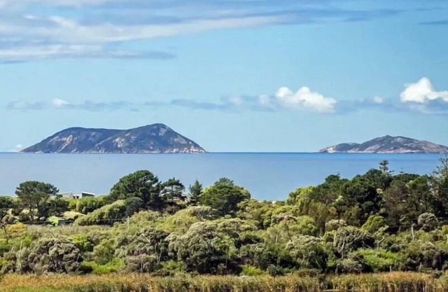Island House