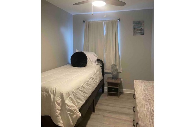 Israa’s Owls Nest a Temple Town Treasure