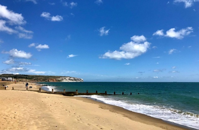 Ivy Garden, The Isle of Wight.
