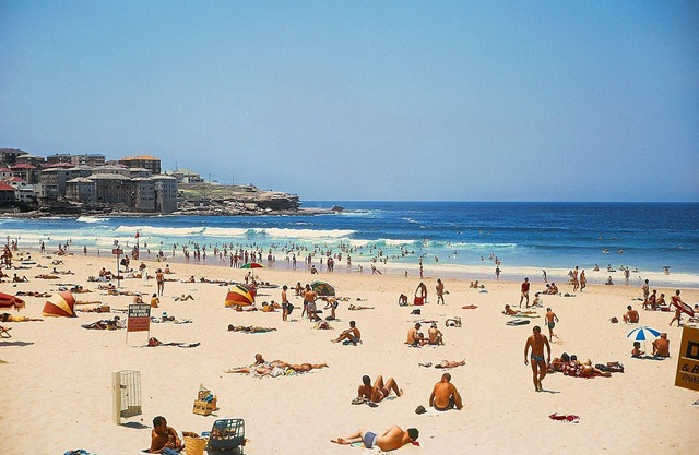 Jam Home | Delightful 4BR House Near Sydney Olympic Park & Parramatta CBD