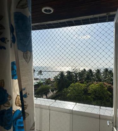 Janga Paulista-Pe