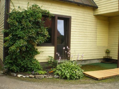 Accommodation 