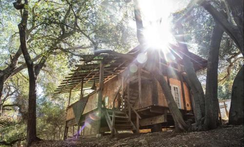 Japanese Tea House with Private Mountain Trails and Creek