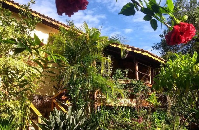 Jardim das orquídeas