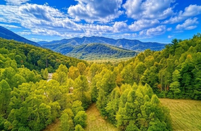 Joyful Cottage, Pickleball Court, Creek, WIFI, Mountain Views, Starting at $69"