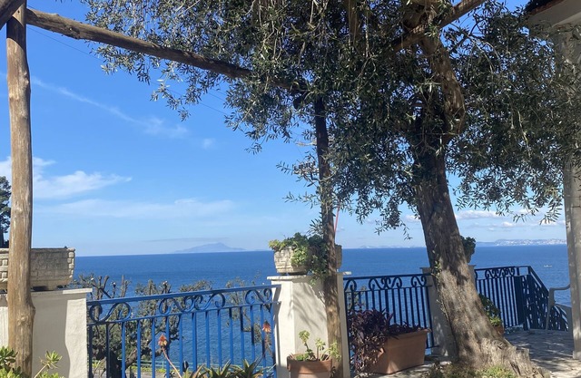 Joyful seafront villa on the Sorrento coast with stunning view on Naples Gulf