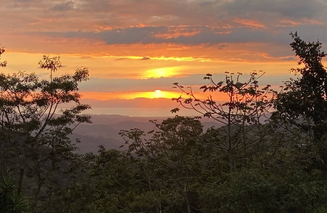 Jungle Bungalow.close to nature but not far from civlization and activities
