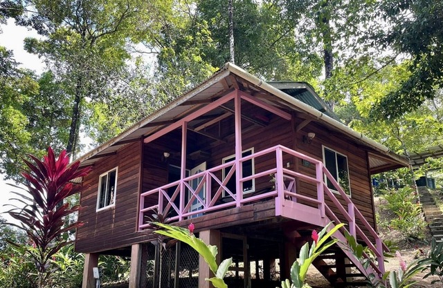 Jungle house King with a view of the Caribbean Sea