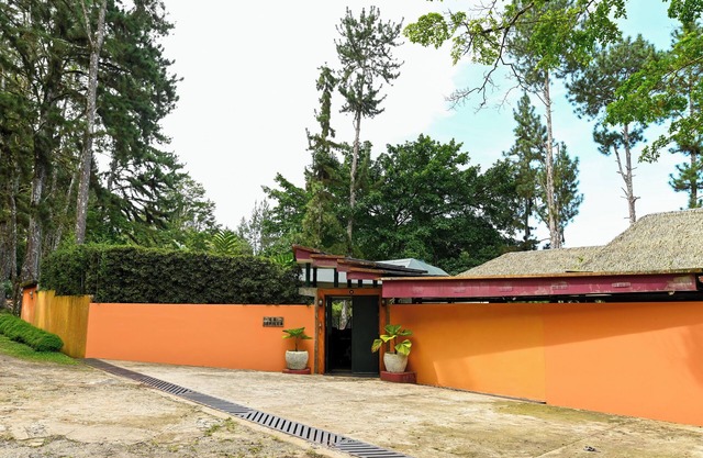 Jungle Mansion - 9 Bedrooms with pool, bar, game room & more