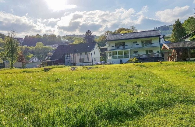 just let your mind wander