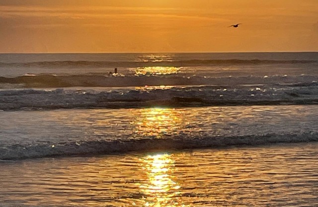 Just minutes from the ocean Lg 4 bedroom with fenced in saltwater pool!