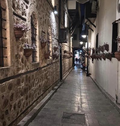 kaleiçi muhteşem ayrı mutfaklı uygun fiyat EV