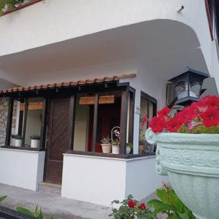 Kalliopi's House
