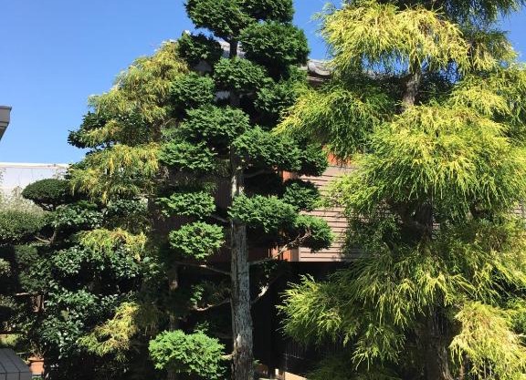 Kamagaya - House - Vacation STAY 9556
