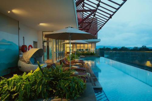 Kandy Myst by Cinnamon