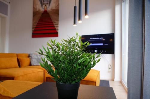 Karls Apartment B14