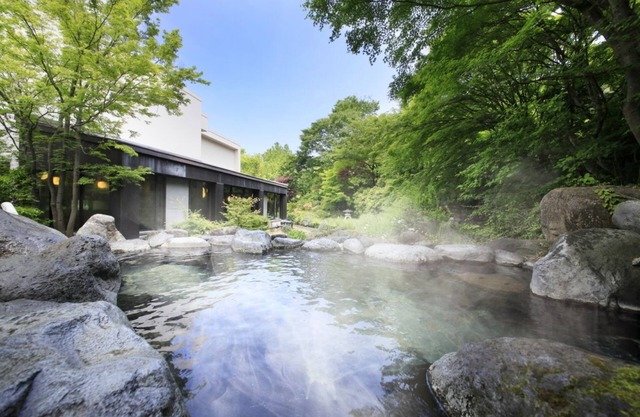Kasuga No Mori