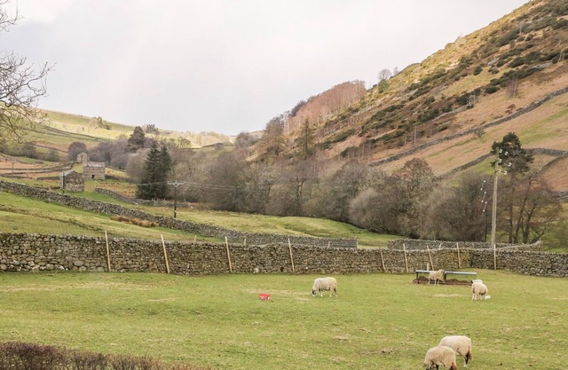 KEARTONS - BUTTERTUBS, pet friendly in Muker