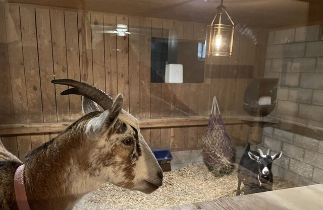 Kentucky Inn and Horse Farm. Stable Suite, with window looking into the Goat Stall