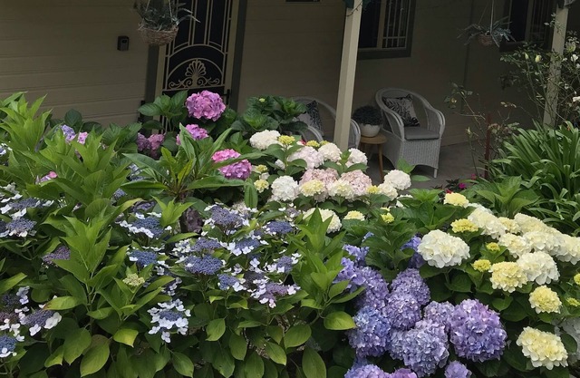 Kiama Hampton Cottage -WIFI-Netflix -aircon