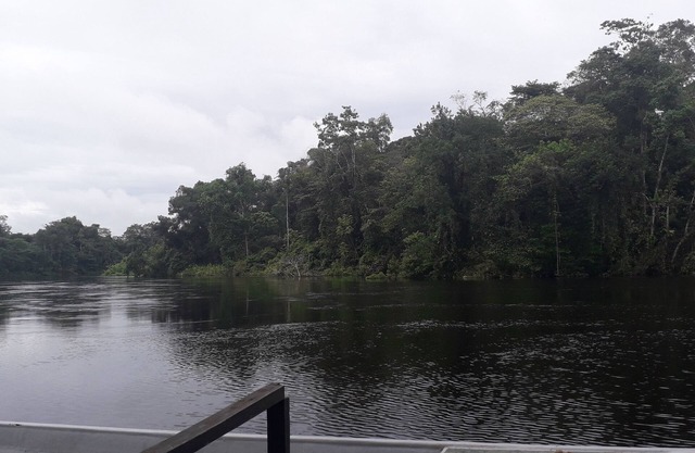 Kichwa Lodge - Cuyabeno