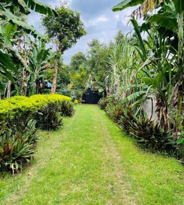 Kilimanjaro Ultimate Home Stay