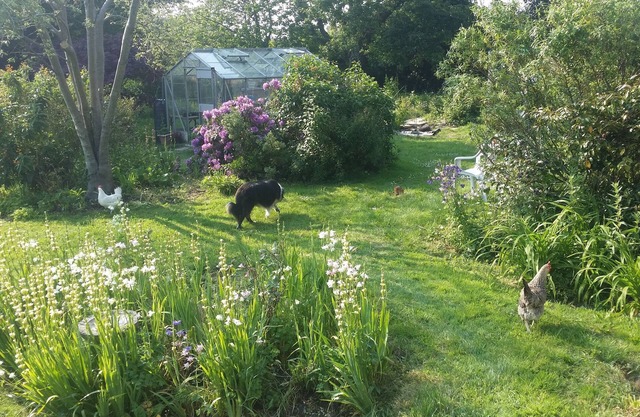 Kingsmede Bed & Breakfast