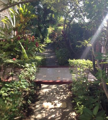 Kingston Airport bed and breakfast