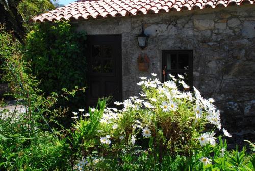 Kleines Ferienhaus Mit Terrasse Und Parkplatz