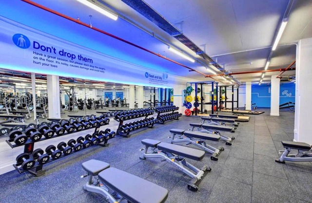 Knightbridge HydePark 2B2B & Garden near Harrods, Royal Albert Hall & V&A museum