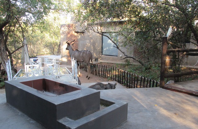 KRUGER WILD RETREAT - HYENA CHALET