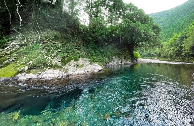 Kumano Shikitei Old private house rental villa/Tanabe Wakayama