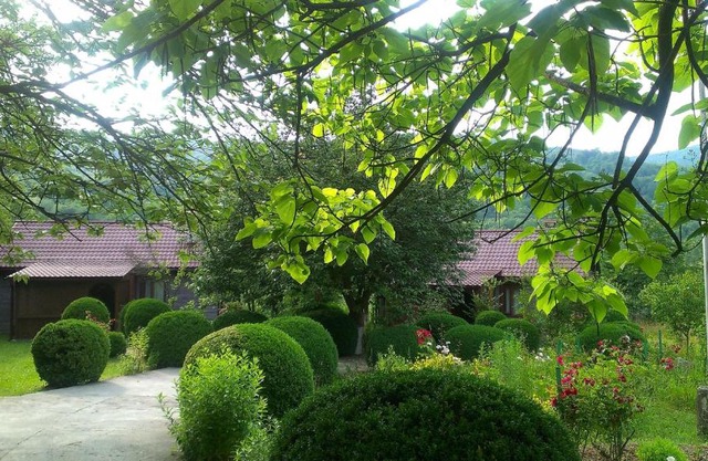 Kvasnyi