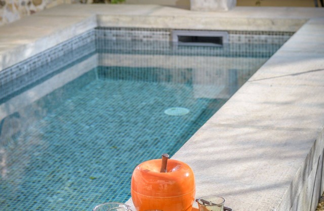 L'annexe des Alpilles village house swimming pool