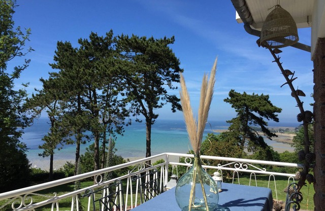L'ENVIE DU LARGE: charming rental sea view, pink granite coast